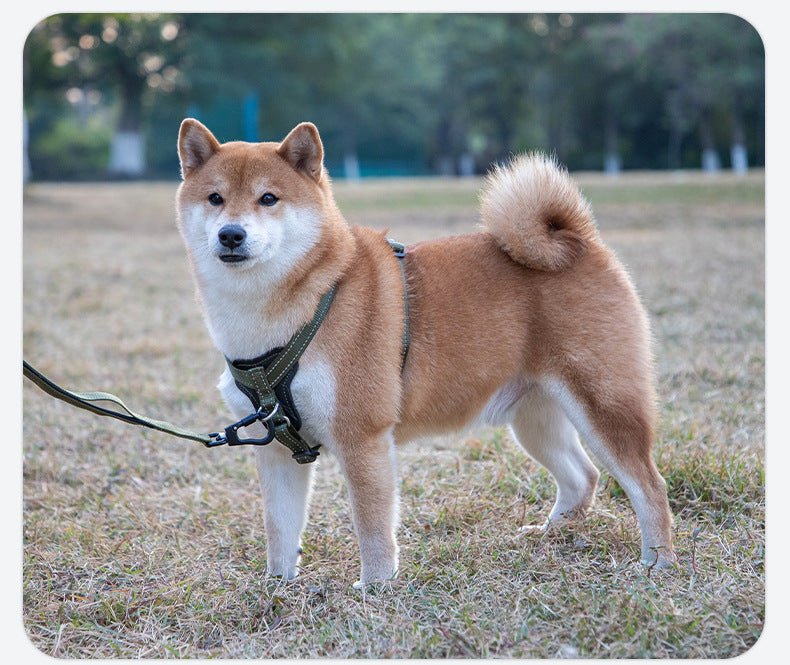 Comfort Mesh Dog Walking Harness Vest for All Sizes - MeowGo