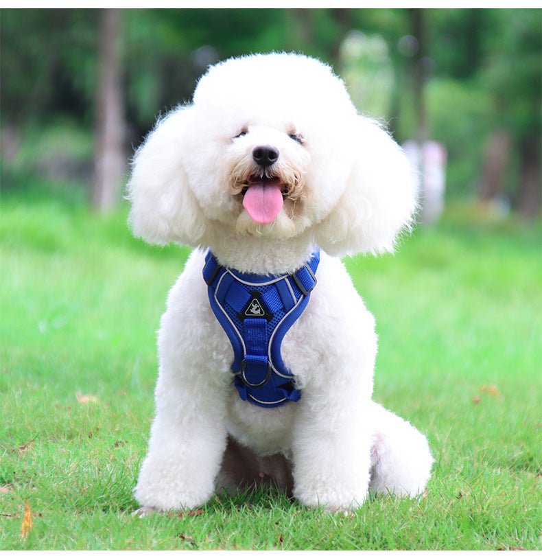 New Dog Harness Vest and Leash Set - MeowGo