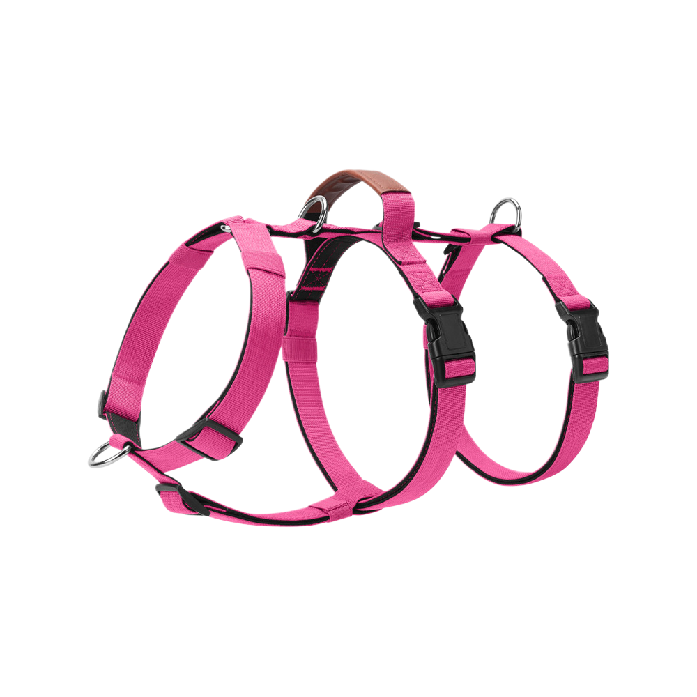 Escape Proof No-Pull Dog Harness for Medium Large Dogs