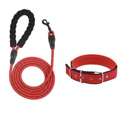 Adjustable Dog Leash & Collar Set for All Breeds - MeowGo