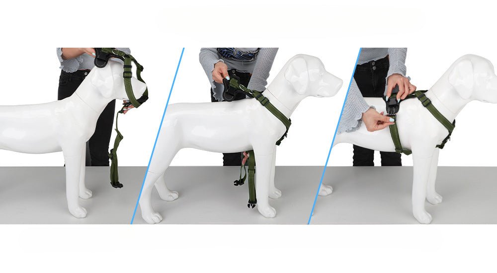 Comfort Mesh Dog Walking Harness Vest for All Sizes - MeowGo