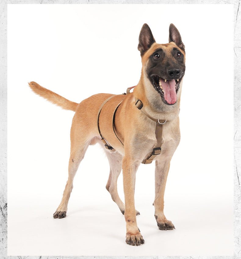 Escape Proof No - Pull Dog Harness for Medium Large Dogs - MeowGo