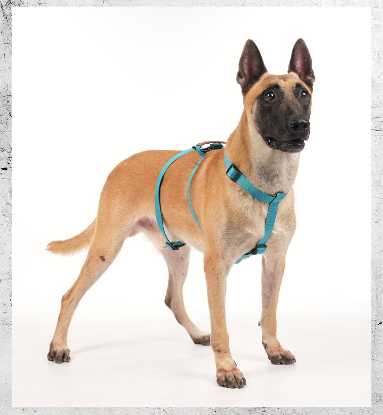 Escape Proof No - Pull Dog Harness for Medium Large Dogs - MeowGo