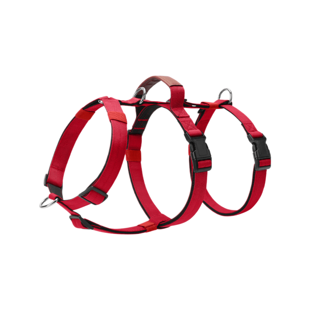 Escape Proof No - Pull Dog Harness for Medium Large Dogs - MeowGo