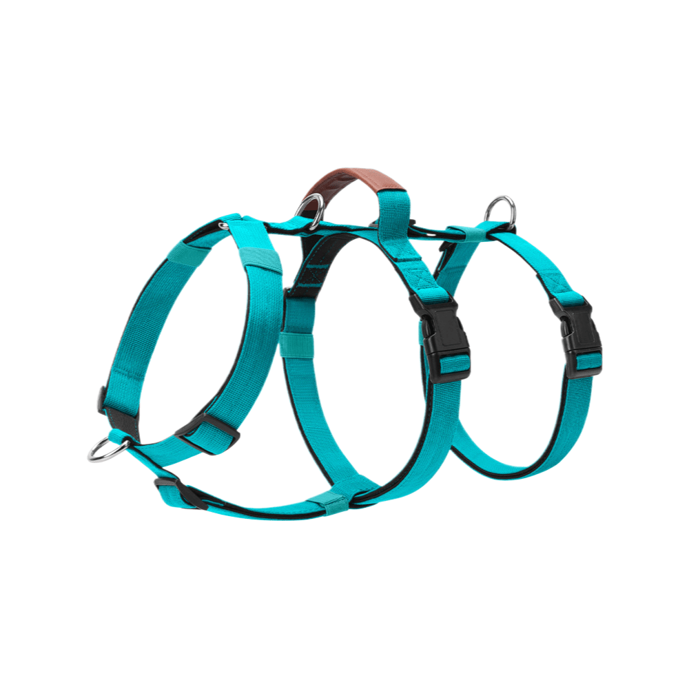 Escape Proof No - Pull Dog Harness for Medium Large Dogs - MeowGo