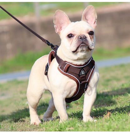 New Dog Harness Vest and Leash Set - MeowGo