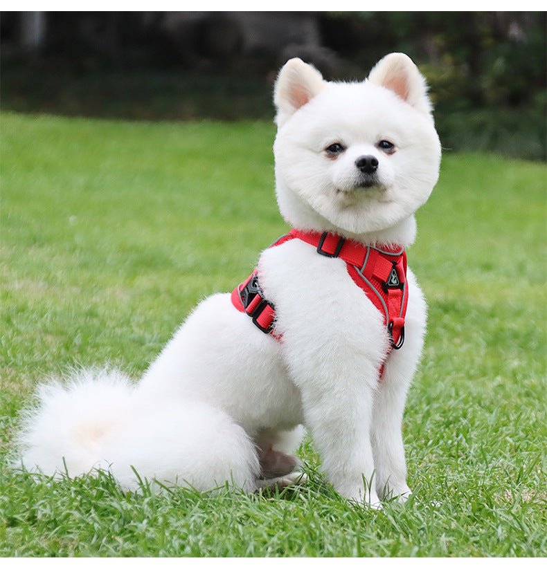New Dog Harness Vest and Leash Set - MeowGo