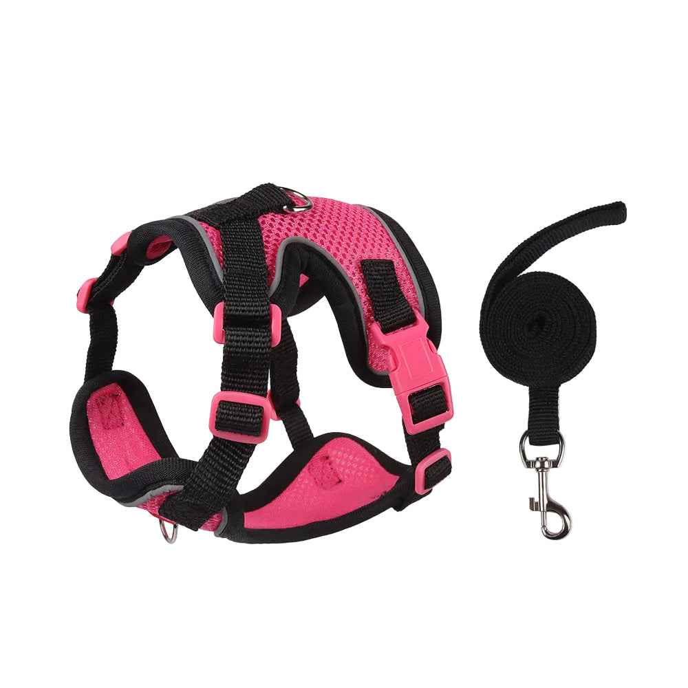 New Dog Harness Vest and Leash Set - MeowGo