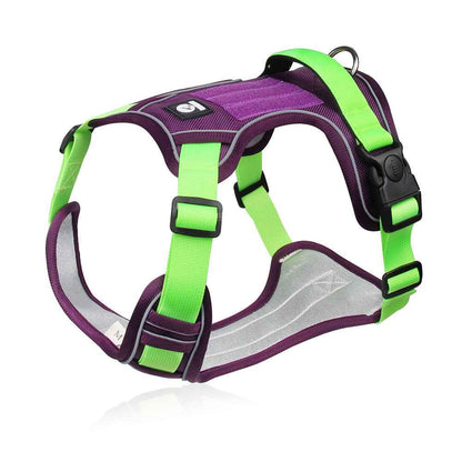 No - Pull Dog Harness with Patches - MeowGo