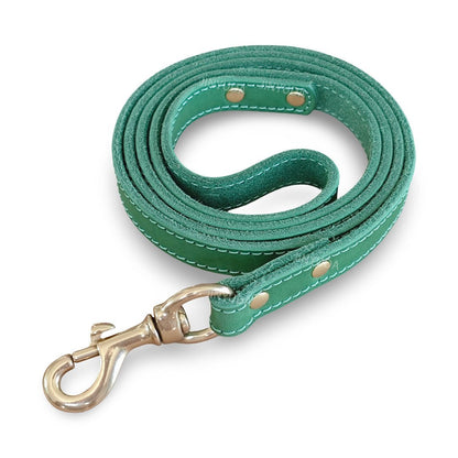 Top - Grain Leather Dog Leash with Solid Brass Hook - MeowGo