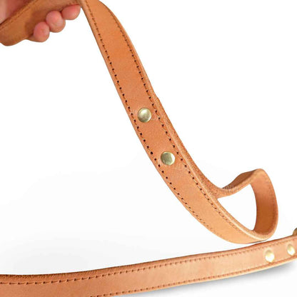 Top - Grain Leather Dog Leash with Solid Brass Hook - MeowGo