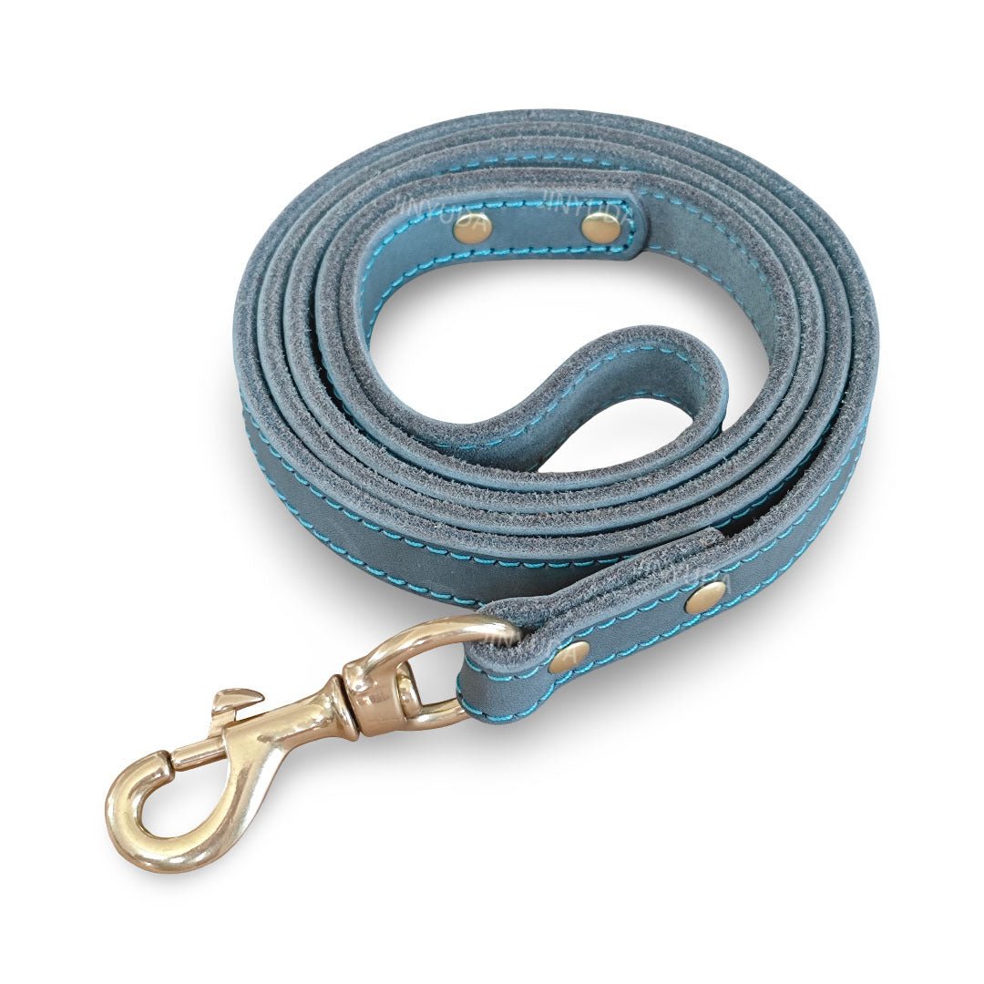 Top - Grain Leather Dog Leash with Solid Brass Hook - MeowGo