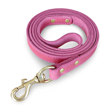 Top - Grain Leather Dog Leash with Solid Brass Hook - MeowGo